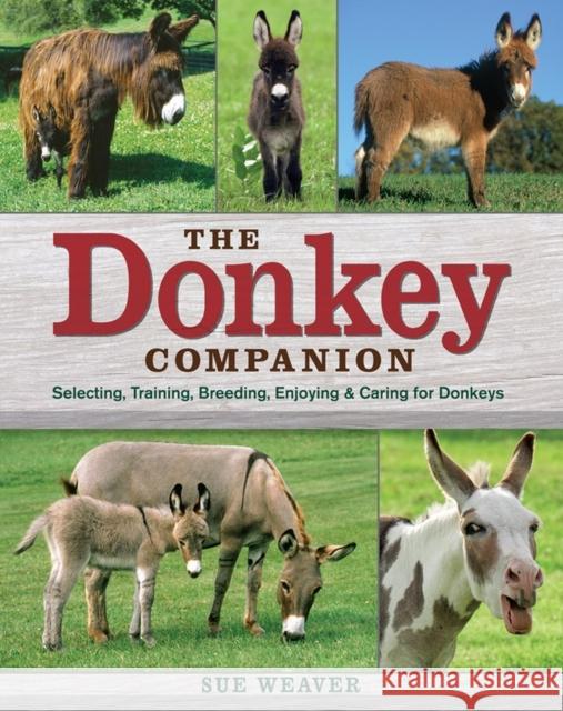 Donkey Companion Sue Weaver 9781603420389 Workman Publishing - książka