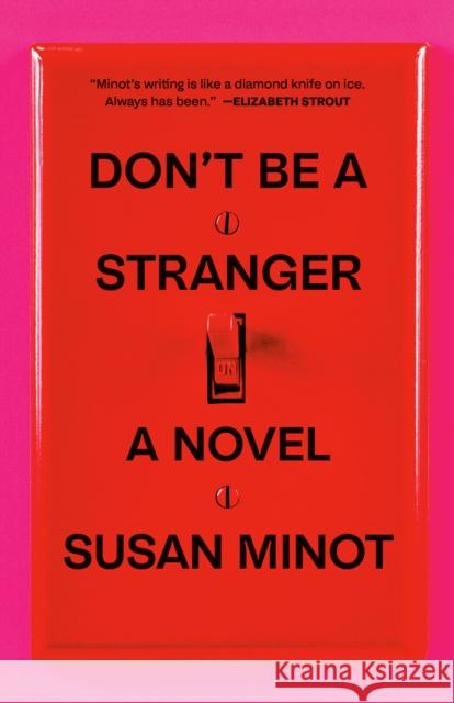 Don't Be a Stranger: A Novel  9780593688489 Vintage - książka