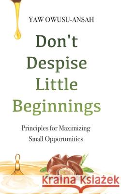 Don't Despise Little Beginnings: Principles for Maximizing Small Opportunities Yaw Owusu Ansah 9789988538835 Ghana Library Board - książka