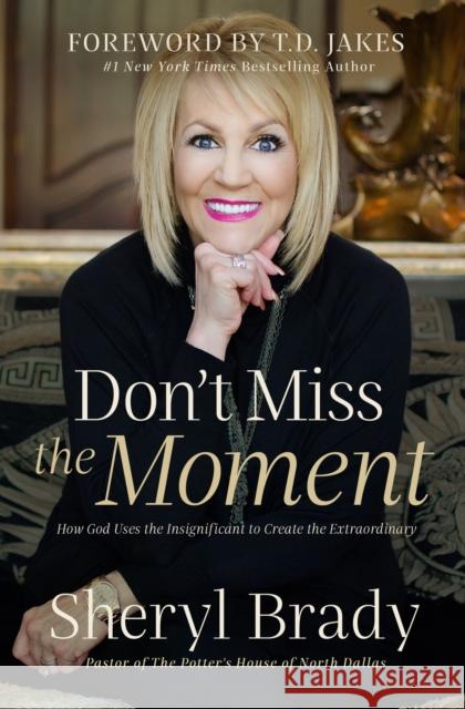 Don't Miss the Moment: How God Uses the Insignificant to Create the Extraordinary Sheryl Brady 9781400210220 Thomas Nelson - książka