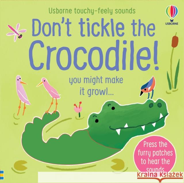 Don't Tickle the Crocodile! Sam Taplin 9781474981330 Usborne Publishing Ltd - książka