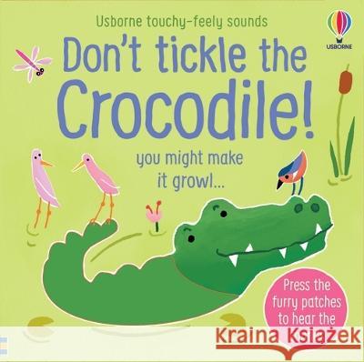 Don\'t Tickle the Crocodile! Sam Taplin Ana Martin Larranaga 9781805070313 Usborne Books - książka