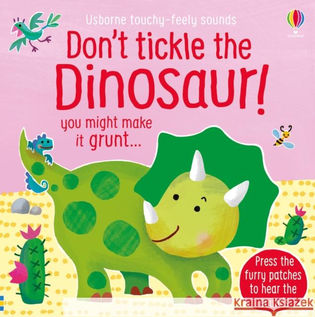 Don't Tickle the Dinosaur! Sam Taplin Ana Martin Larranaga  9781474976763 Usborne Publishing Ltd - książka