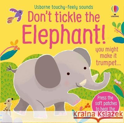 Don\'t Tickle the Elephant! Sam Taplin Ana Martin Larranaga 9781805070238 Usborne Books - książka