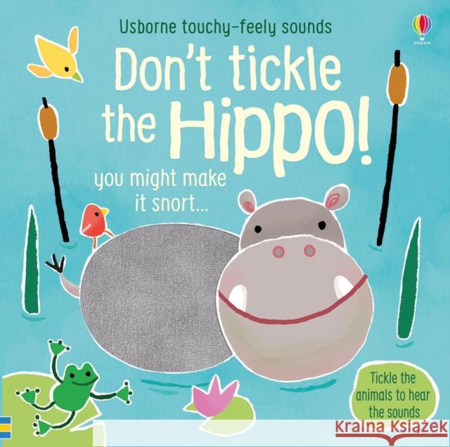 Don't Tickle the Hippo! Sam Taplin 9781474968713 Usborne Publishing Ltd - książka