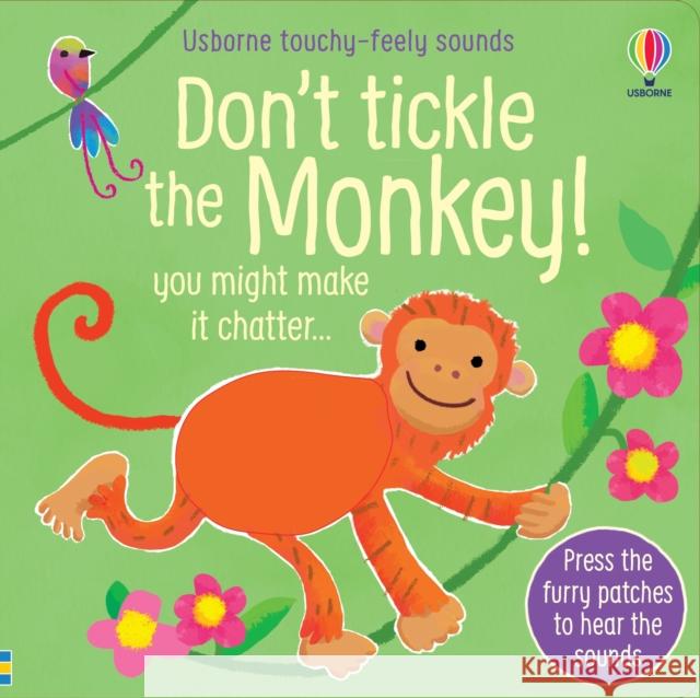 Don't Tickle the Monkey! Sam Taplin 9781474990684 Usborne Publishing Ltd - książka