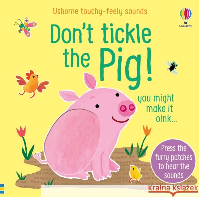 Don't Tickle the Pig! Sam Taplin 9781474981323 Usborne Publishing Ltd - książka