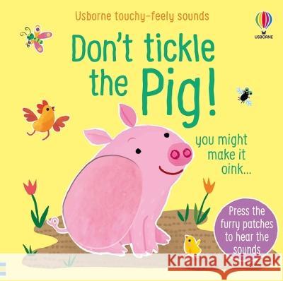 Don\'t Tickle the Pig Sam Taplin Ana Martin Larranaga 9781805319870 Usborne Books - książka