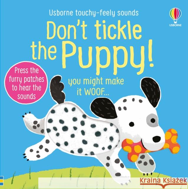 Don't Tickle the Puppy! Sam Taplin 9781835409916 Usborne Publishing Ltd - książka