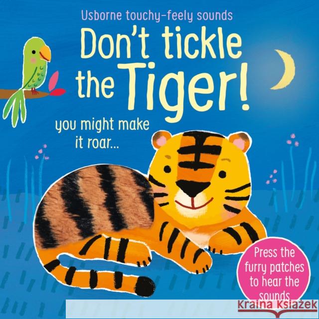 Don't Tickle the Tiger! Sam Taplin 9781474981026 Usborne Publishing Ltd - książka