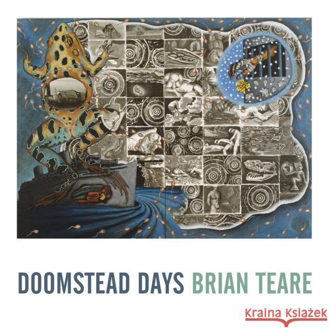 Doomstead Days Brian Teare 9781643620022 Nightboat Books - książka