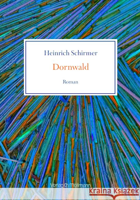 Dornwald Schirmer, Heinrich 9783899793567 Möllmann - książka