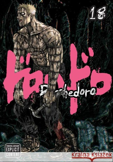 Dorohedoro, Vol. 18 Q Hayashida 9781421577975 Viz Media, Subs. of Shogakukan Inc - książka