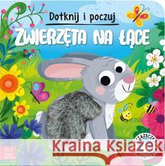 Dotknij i poczuj. Zwierzęta na łące. Grażyna Wasilewicz 9788382138849 Aksjomat - książka