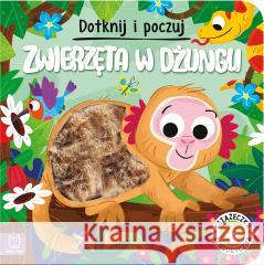 Dotknij i poczuj. Zwierzęta w dżungli Grażyna Wasilewicz 9788383740195 Aksjomat - książka