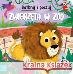 Dotknij i poczuj. Zwierzęta w zoo Grażyna Wasilewicz 9788382138856 Aksjomat - książka