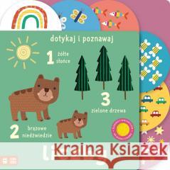 Dotykaj i poznawaj. Liczby Sally Payne 9788382999488 Zielona Sowa - książka