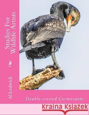 Double-crested Cormorants: Studies For Wildlife Artists Lodwick, Al 9781514695630 Createspace - książka