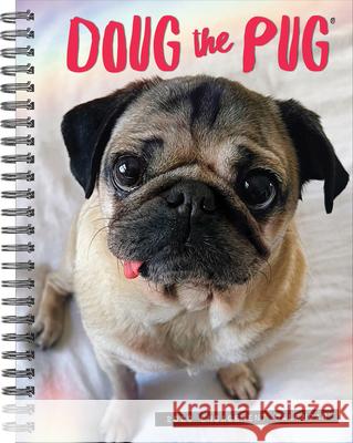 Doug the Pug 2026 6.5 X 8.5 Engagement Calendar  9781549254642 Wlcp - książka