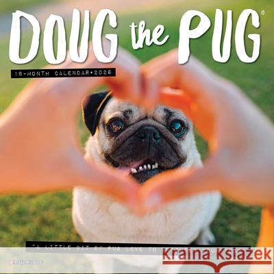 Doug the Pug 2026 7 X 7 Mini Wall Calendar  9781549253560 Wlcp - książka