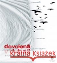 Dovolená v Dubaji Filip Šimeček 9788087563281 Štengl Petr - książka