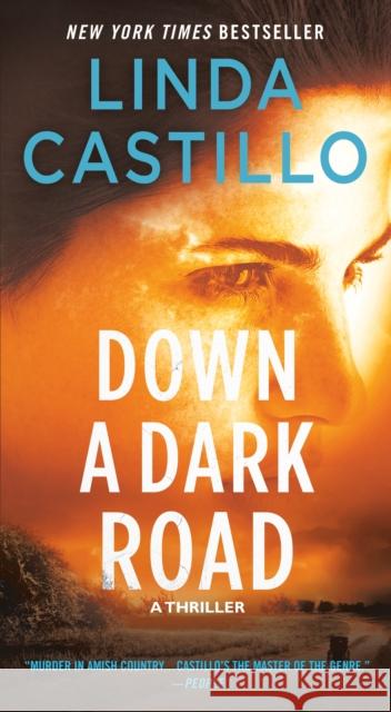 Down a Dark Road: A Kate Burkholder Novel Castillo, Linda 9781250121295 Minotaur Books - książka