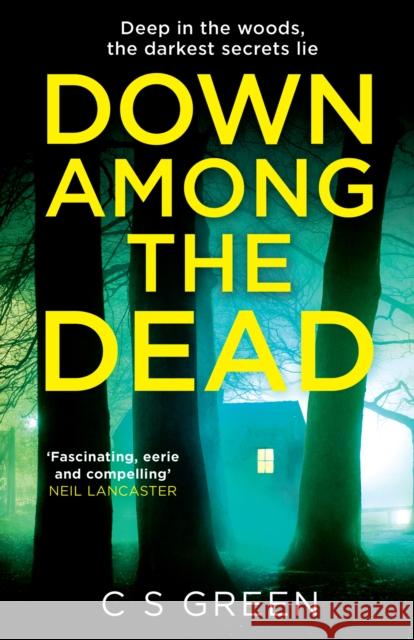 Down Among the Dead: A Rose Gifford Book C S Green 9780008390907 HarperCollins Publishers - książka