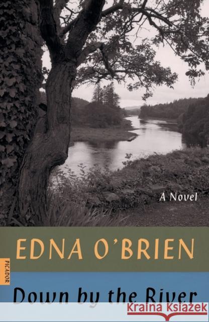 Down by the River Edna O'Brien 9780374538835 Picador USA - książka