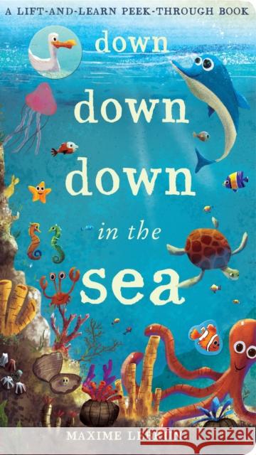 Down Down Down in the Sea: A lift-and-learn peek-through book Jonathan Litton 9781848575530 Little Tiger Press Group - książka