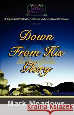 Down From His Glory: Solomon's Bride Volume One Meadows, Mark 9781453797242 Createspace - książka