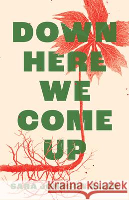 Down Here We Come Up Sara Johnson Allen 9781625570567 Black Lawrence Press - książka