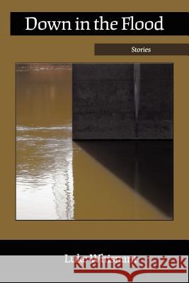 Down in the Flood Luke Whisnant 9780916078706 Iris Press - książka