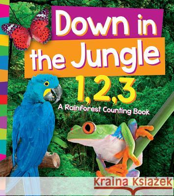 Down in the Jungle 1, 2, 3: A Rain Forest Counting Book Dils, Tracey E. 9781607537151 Amicus - książka
