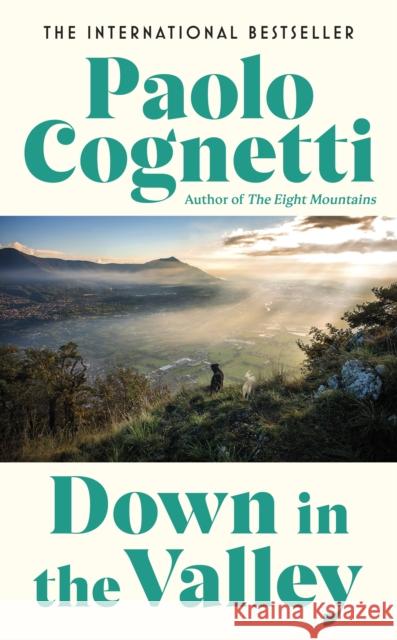 Down in the Valley Paolo Cognetti 9781787304994 Vintage Publishing - książka
