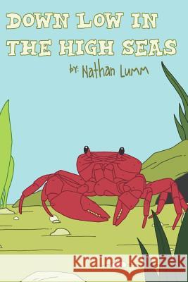 Down Low in the High Seas Nathan Lumm 9781080632985 Independently Published - książka