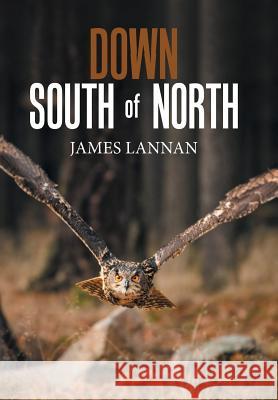 Down South of North James Lannan 9781796011197 Xlibris Us - książka