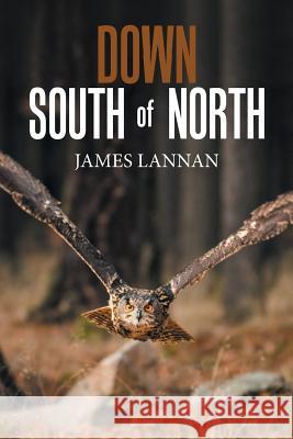 Down South of North James Lannan 9781796011203 Xlibris Us - książka