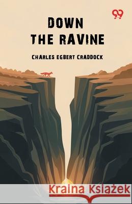 Down The Ravine Charles Egbert Craddock 9789373407555 Double 9 Books - książka