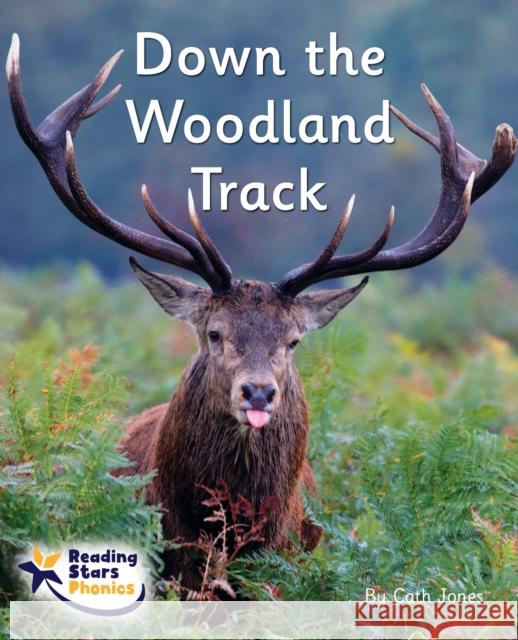 Down the Woodland Track: Phase 4 Cath Jones 9781800473966 Ransom Publishing - książka