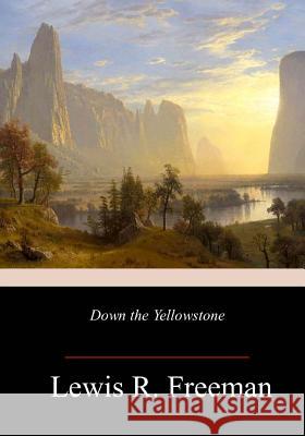 Down the Yellowstone Lewis R. Freeman 9781981641710 Createspace Independent Publishing Platform - książka