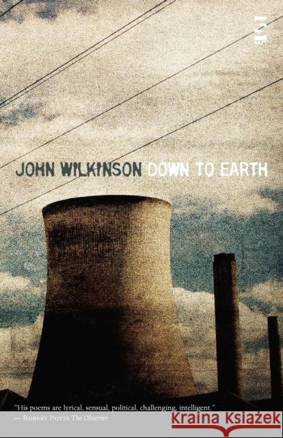 Down to Earth Mr John Wilkinson 9781844715527 Salt Publishing - książka