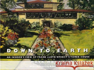 Down to Earth: An Insider's View of Frank Lloyd Wright's Tomek House Maya Moran, Robert Twombly 9780809315598 Southern Illinois University Press - książka