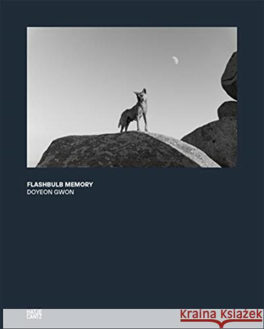 Doyeon Gwon: Flashbulb Memory Gwon, Doyeon 9783775746878 Hatje Cantz - książka