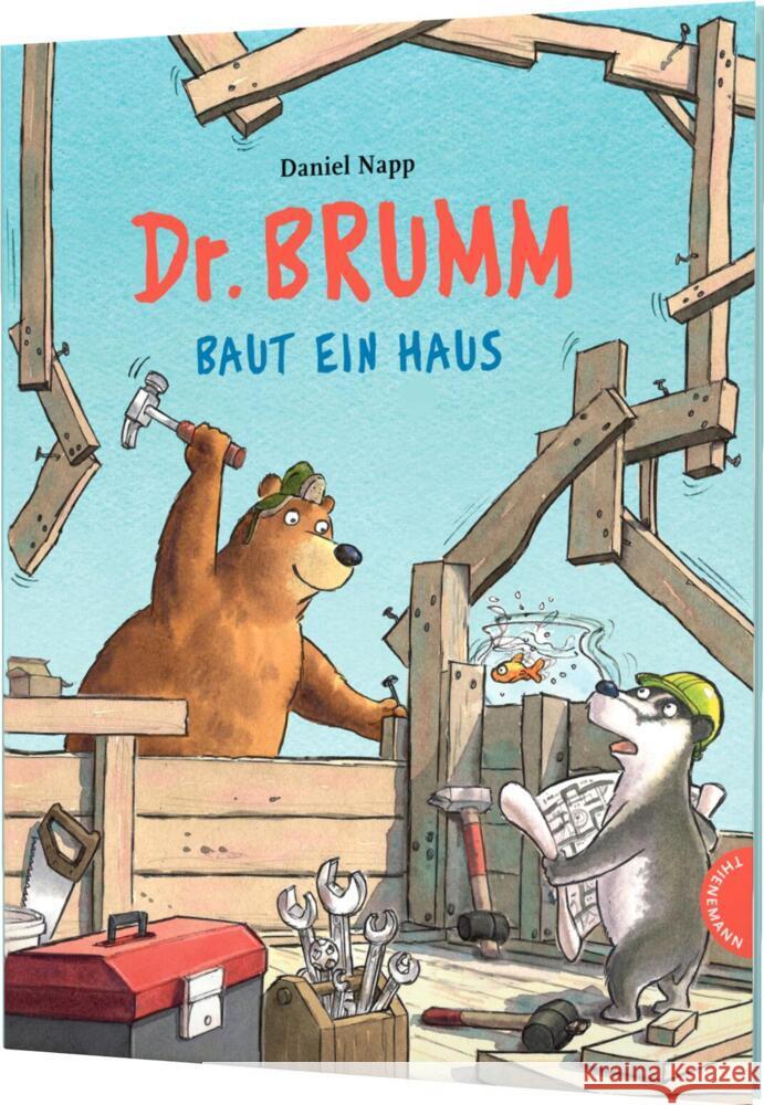 Dr. Brumm: Dr. Brumm baut ein Haus Napp, Daniel 9783522460200 Thienemann in der Thienemann-Esslinger Verlag - książka