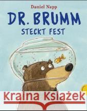 Dr. Brumm steckt fest, große Ausgabe Napp, Daniel   9783522434942 Thienemann Verlag - książka