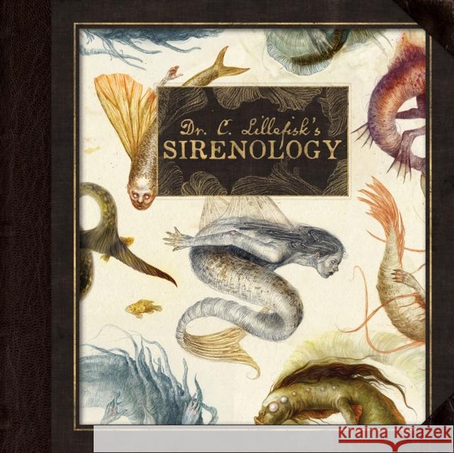 Dr. C. Lillefisk's Sirenology: A Guide to Mermaids and other under-the-sea-Phenonemon Dr. Cecilia Lillefisk 9781777791865 Eye of Newt Books - książka