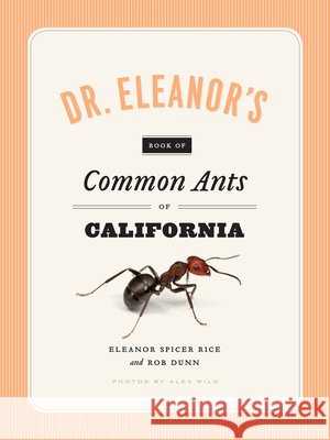 Dr. Eleanor's Book of Common Ants of California Eleanor Spice Alex Wild Rob Dunn 9780226351537 University of Chicago Press - książka