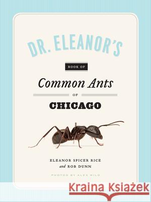 Dr. Eleanor's Book of Common Ants of Chicago Eleanor Spice Alex Wild Rob Dunn 9780226266800 University of Chicago Press - książka