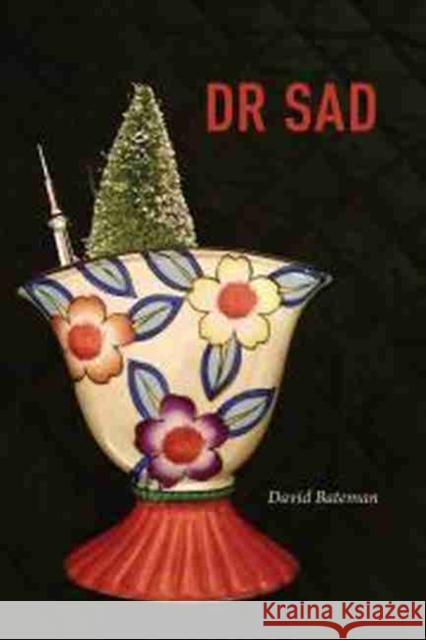 Dr Sad David Bateman 9781773851037 University of Calgary Press - książka