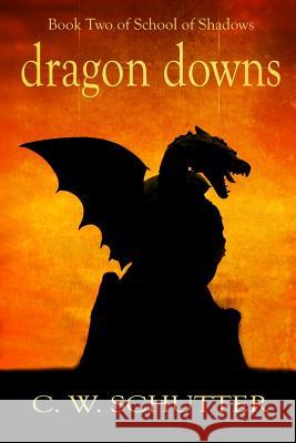 Dragon Downs: Book Two - School of Shadows C. W. Schutter 9781497421684 Createspace - książka